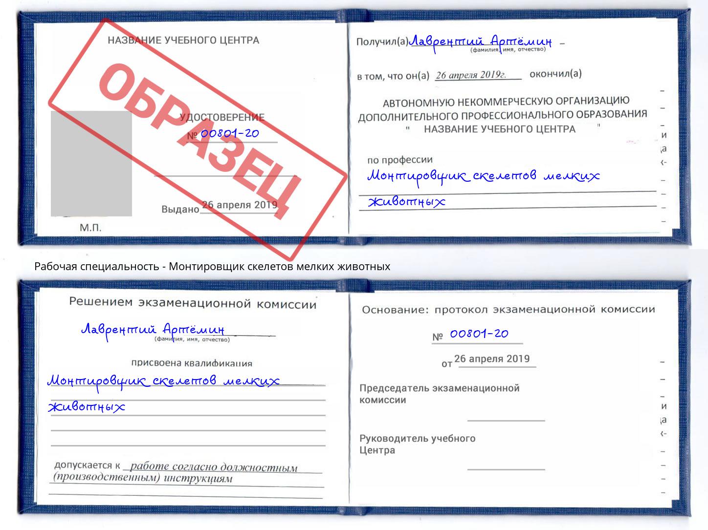 Монтировщик скелетов мелких животных Боровичи