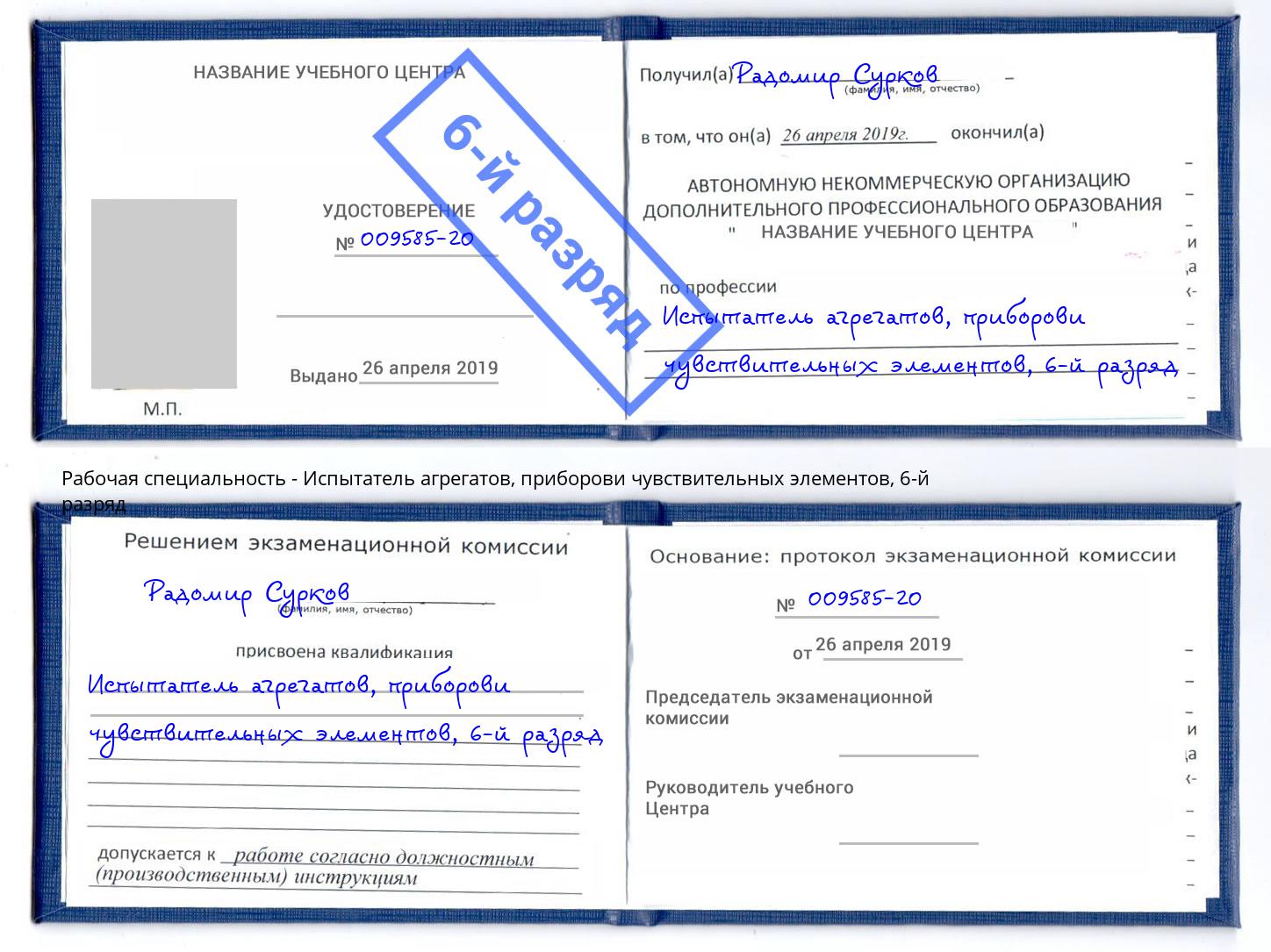 корочка 6-й разряд Испытатель агрегатов, приборови чувствительных элементов Боровичи