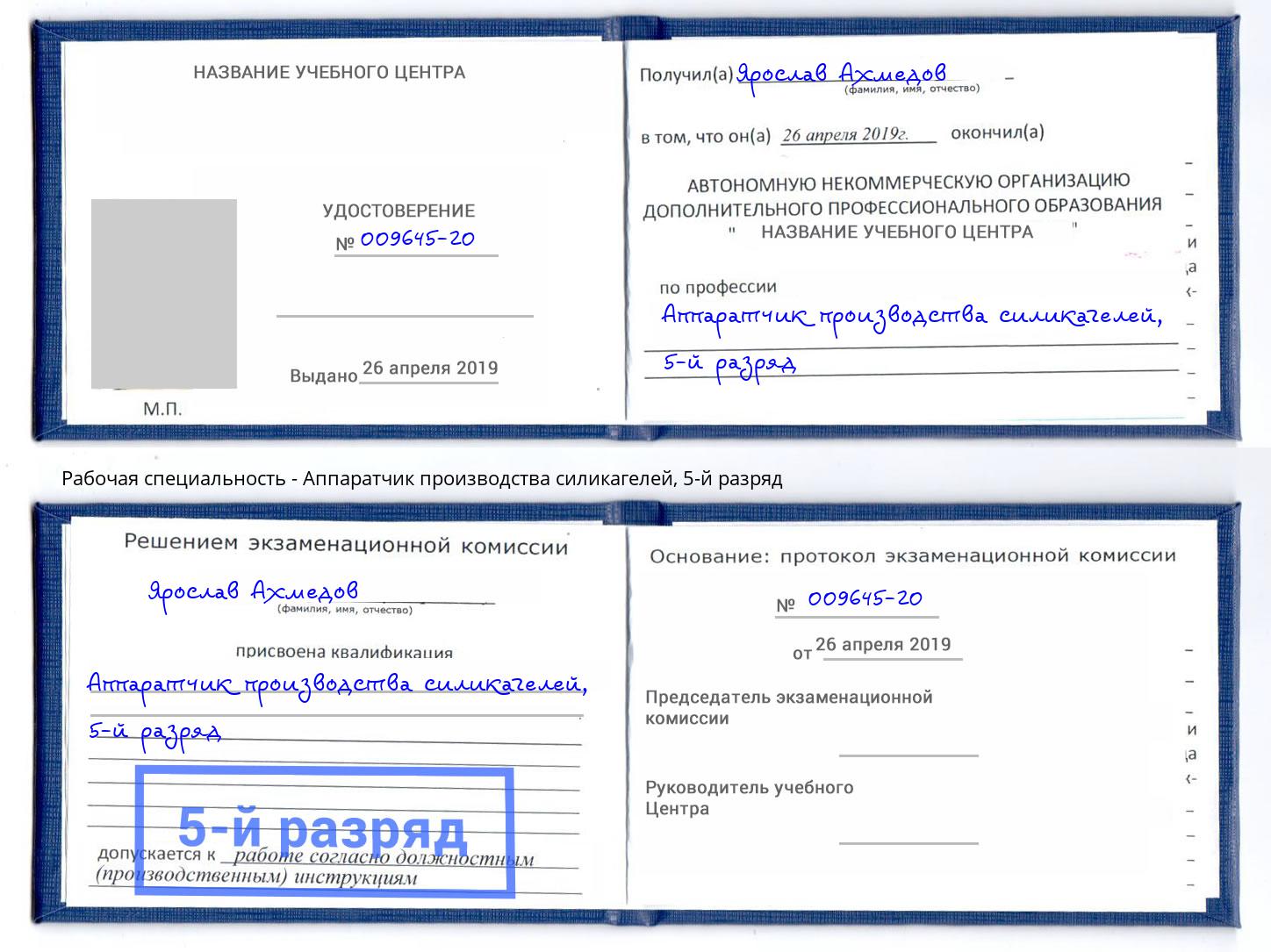корочка 5-й разряд Аппаратчик производства силикагелей Боровичи