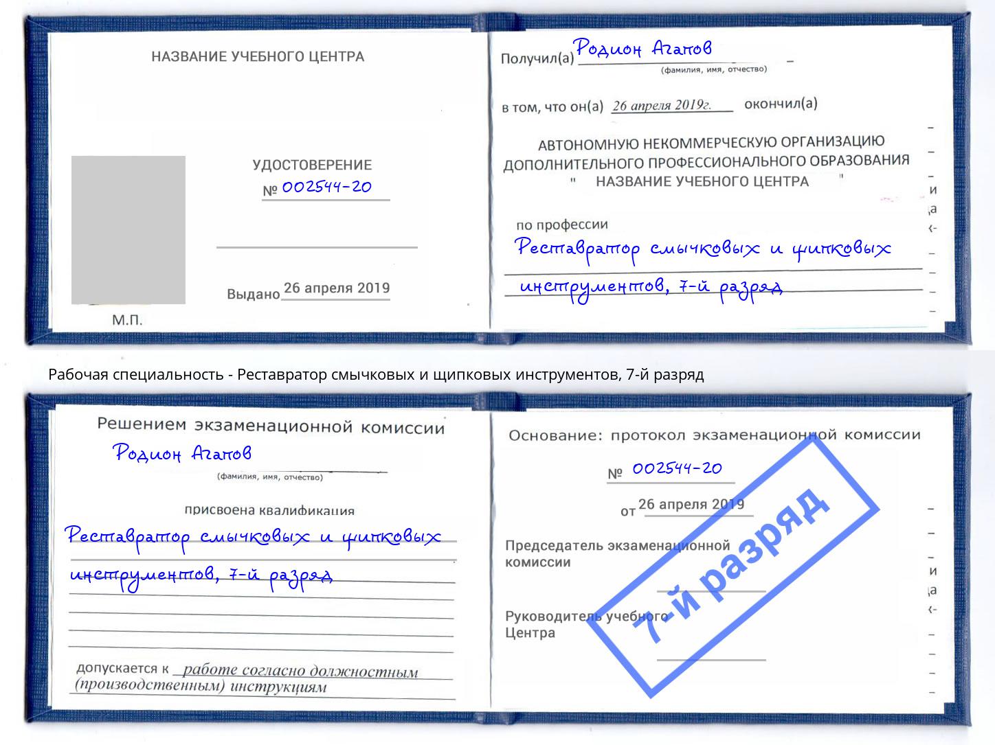 корочка 7-й разряд Реставратор смычковых и щипковых инструментов Боровичи