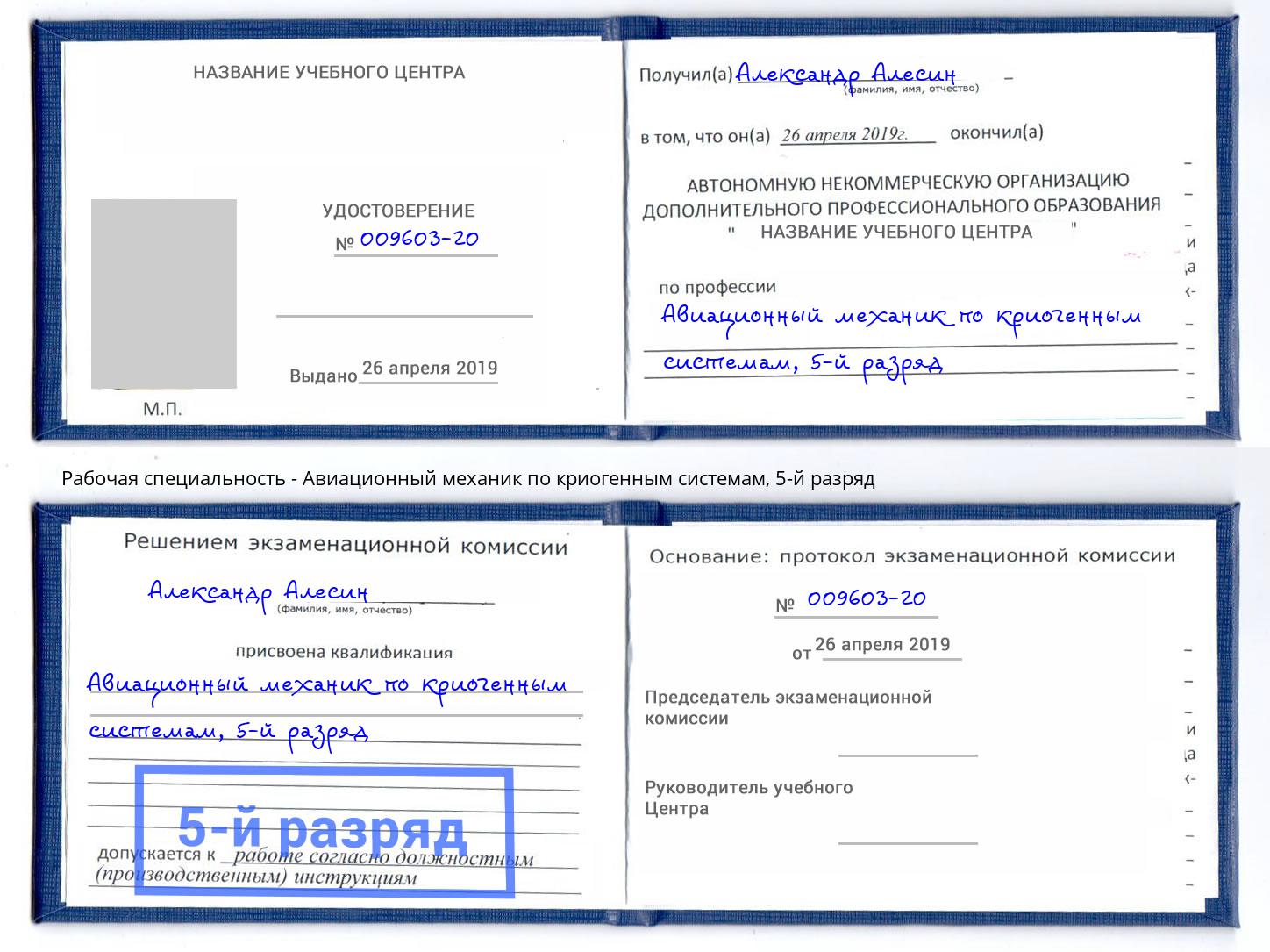 корочка 5-й разряд Авиационный механик по криогенным системам Боровичи