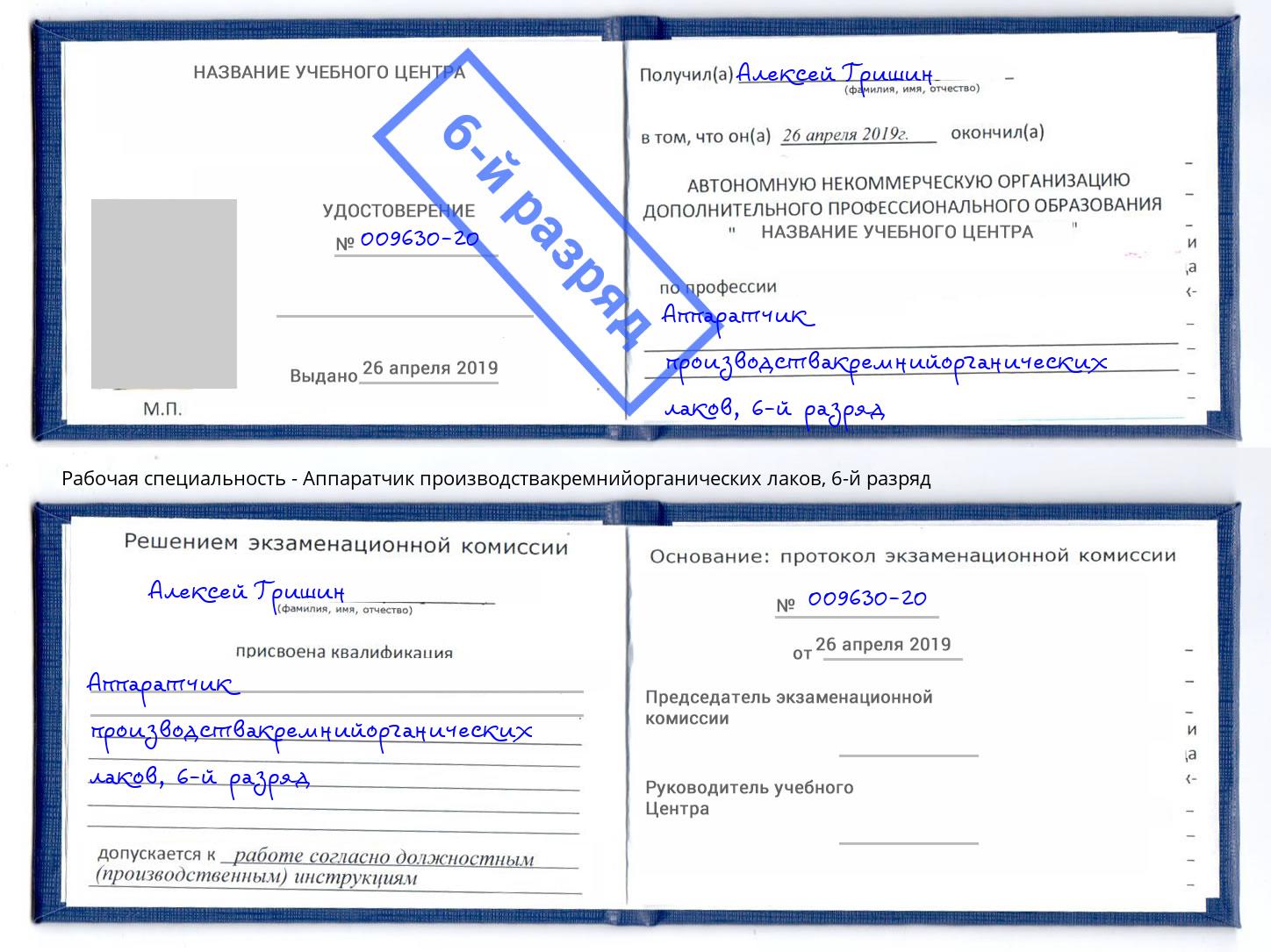 корочка 6-й разряд Аппаратчик производствакремнийорганических лаков Боровичи