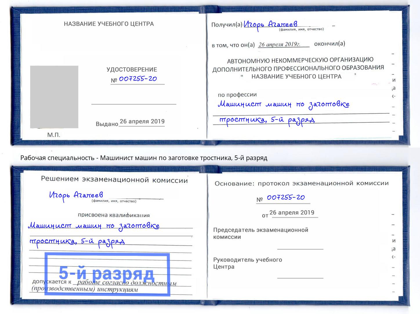 корочка 5-й разряд Машинист машин по заготовке тростника Боровичи