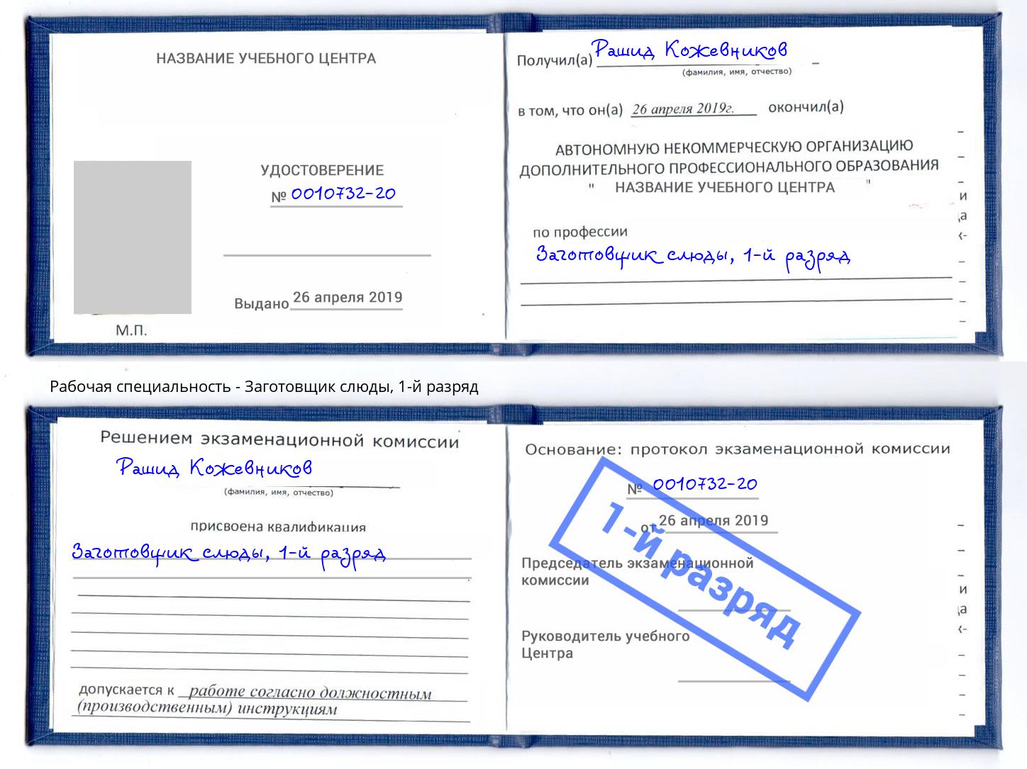 корочка 1-й разряд Заготовщик слюды Боровичи