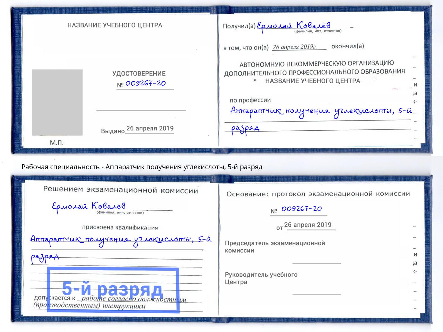 корочка 5-й разряд Аппаратчик получения углекислоты Боровичи